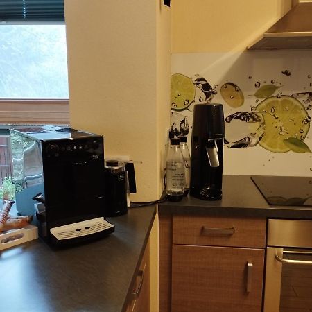 Nichtraucherferienwohnung-Neckarblick Ze-2022-74-Wz-118A Heidelberg Bagian luar foto