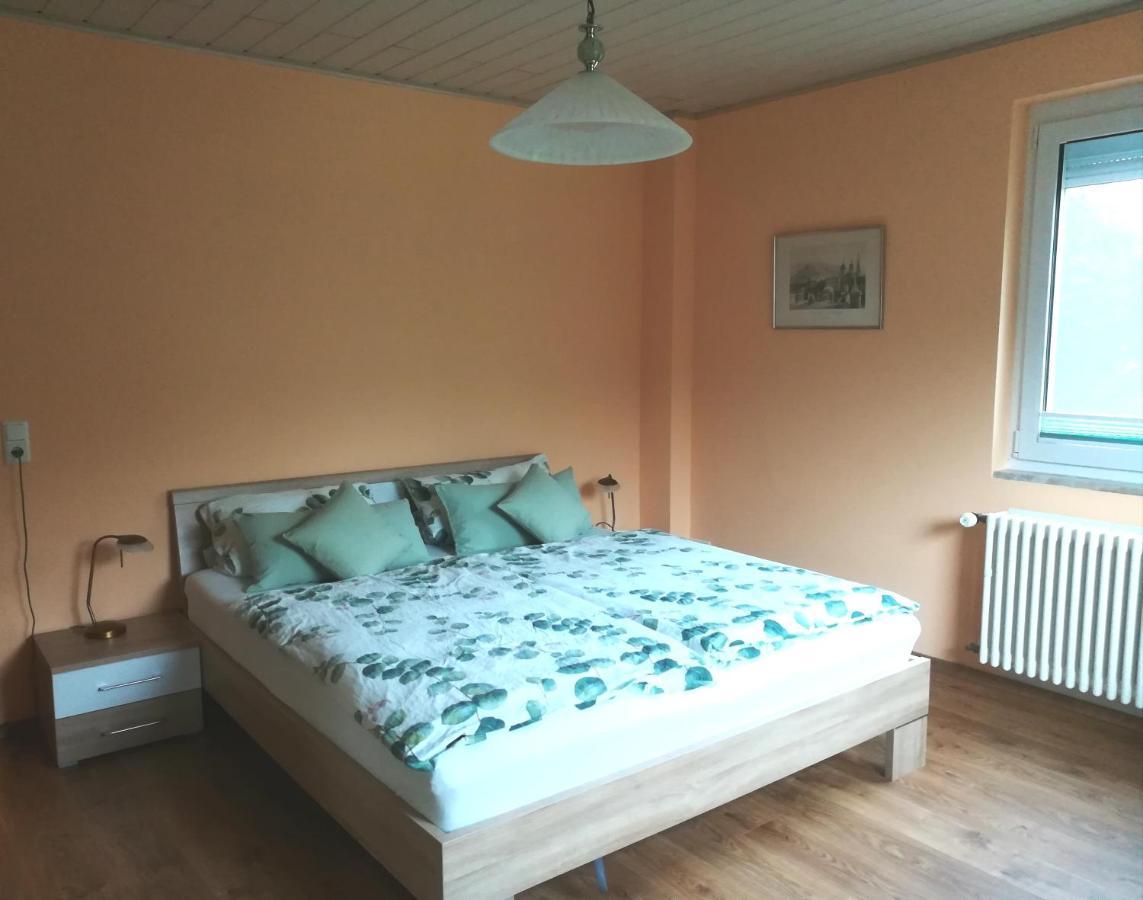 Nichtraucherferienwohnung-Neckarblick Ze-2022-74-Wz-118A Heidelberg Bagian luar foto