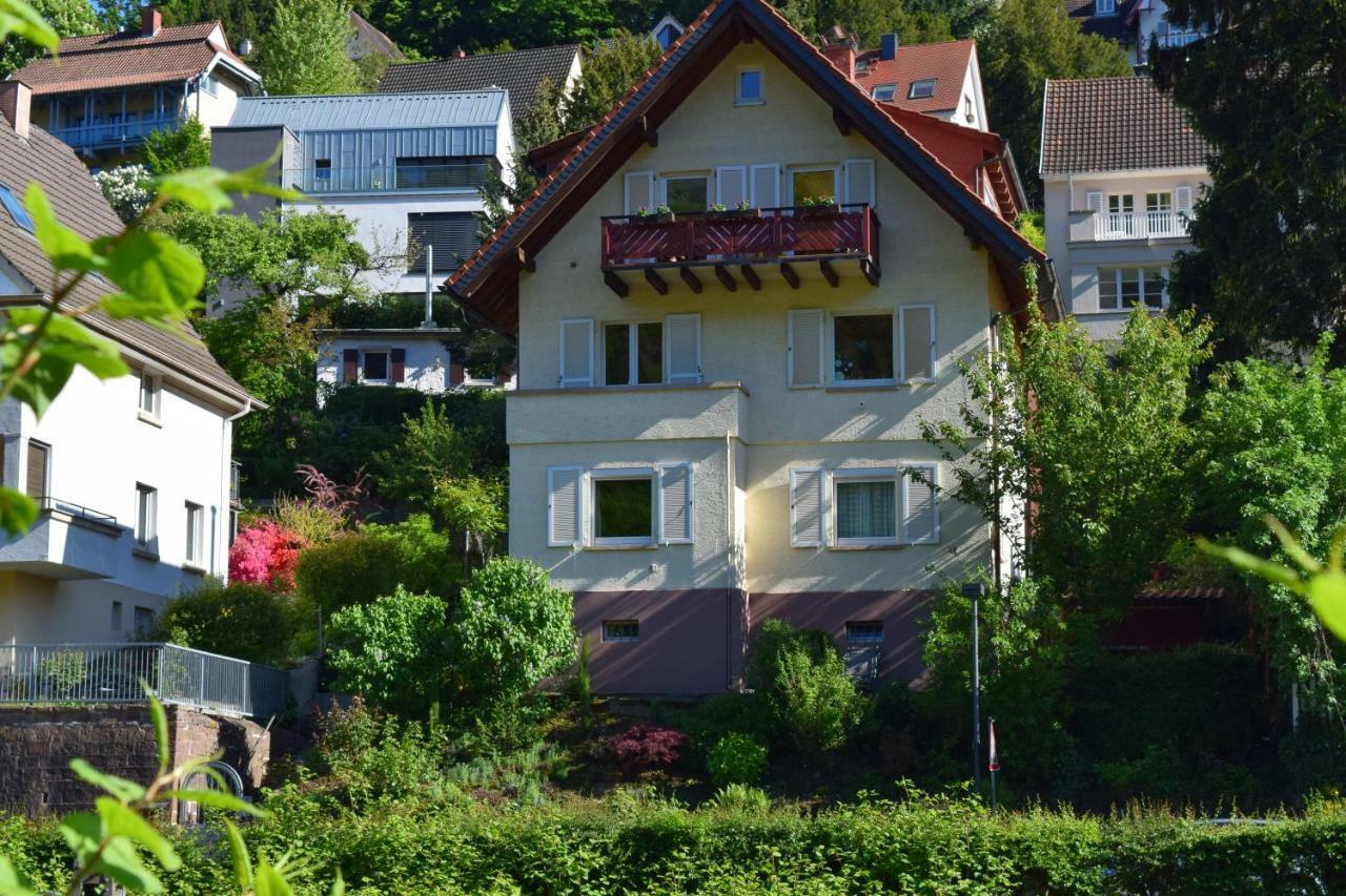 Nichtraucherferienwohnung-Neckarblick Ze-2022-74-Wz-118A Heidelberg Bagian luar foto