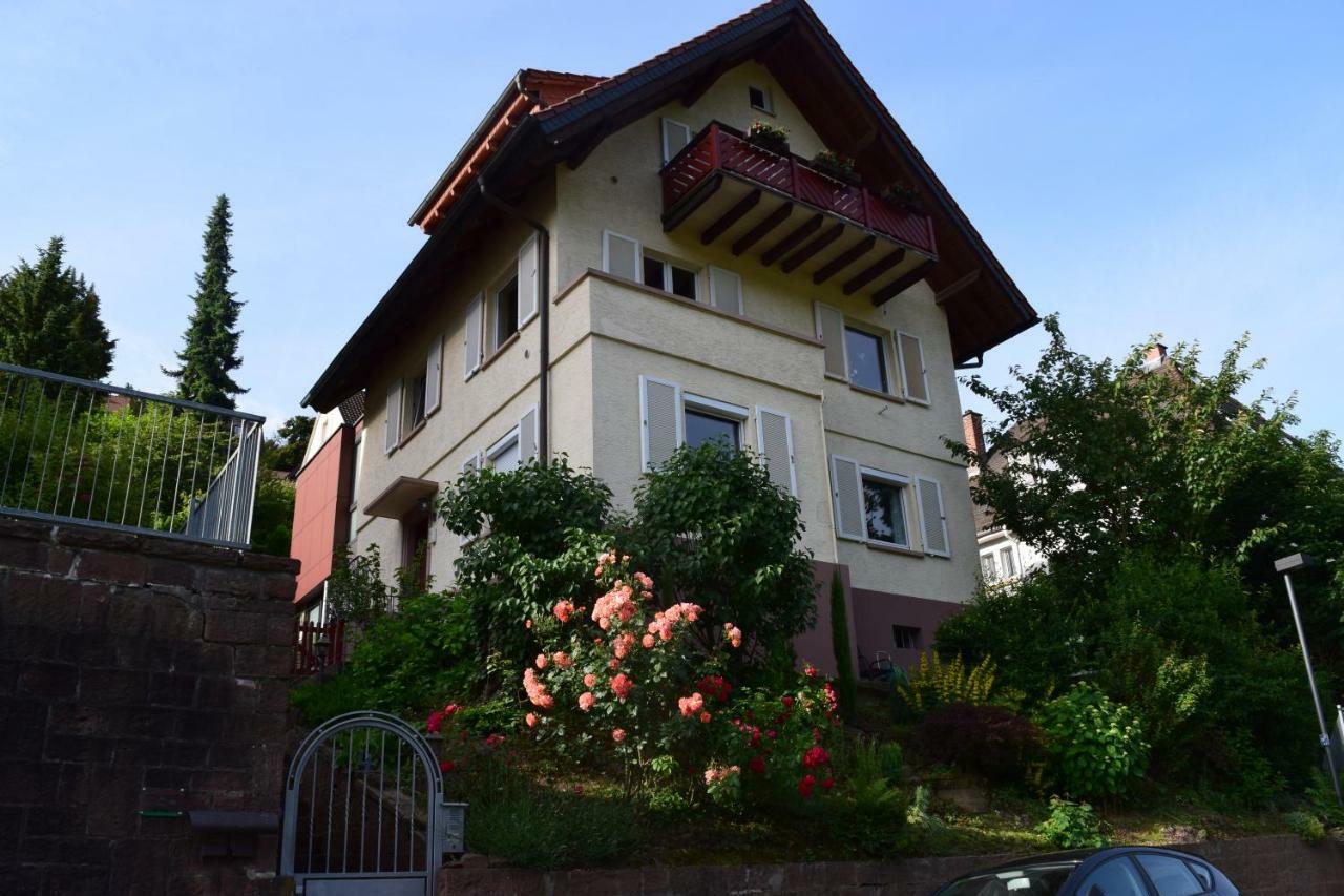 Nichtraucherferienwohnung-Neckarblick Ze-2022-74-Wz-118A Heidelberg Bagian luar foto