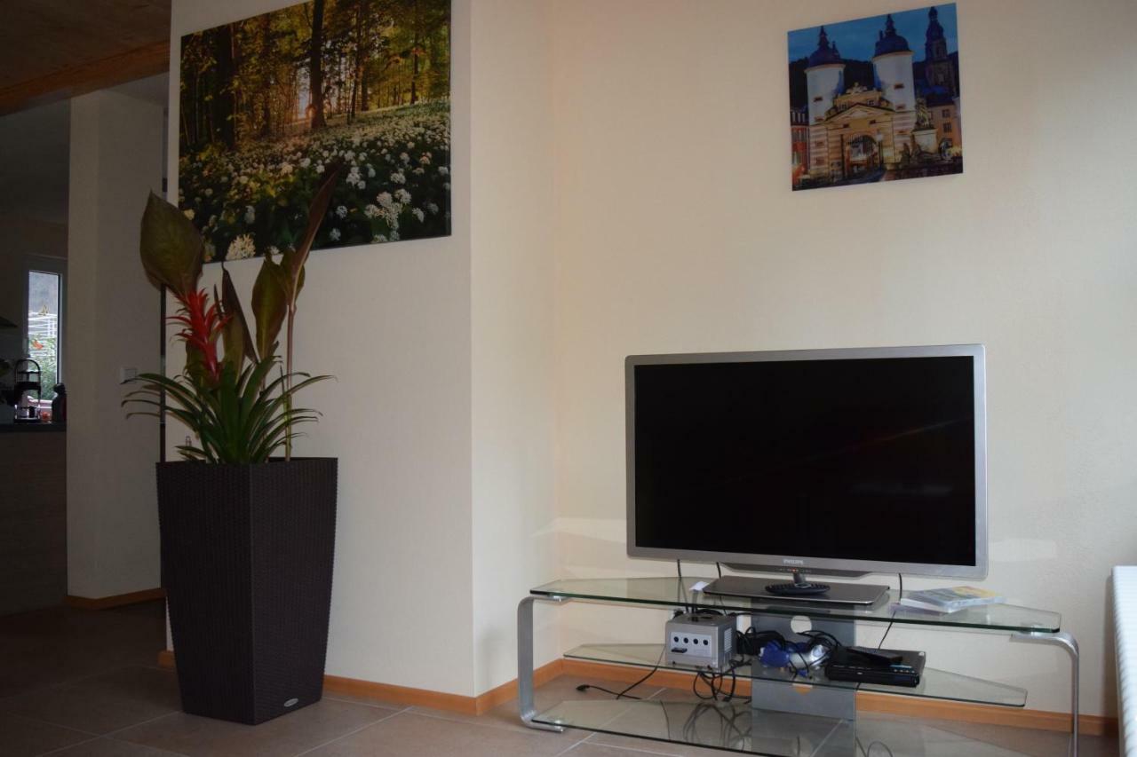 Nichtraucherferienwohnung-Neckarblick Ze-2022-74-Wz-118A Heidelberg Bagian luar foto