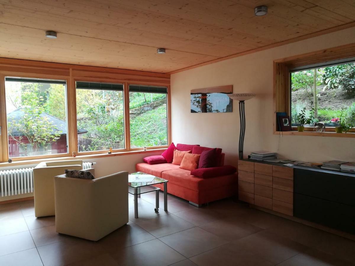 Nichtraucherferienwohnung-Neckarblick Ze-2022-74-Wz-118A Heidelberg Bagian luar foto